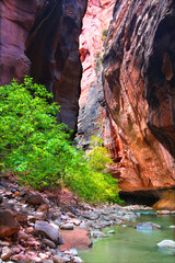Vertical Cliffs of the Zion Narrows