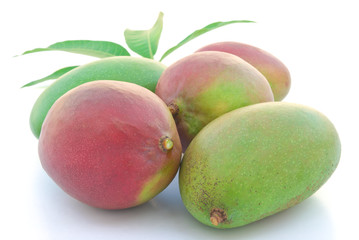 red and green mangos with clipping path