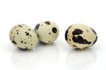 Obraz premium Quail Egg