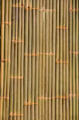 bamboo background