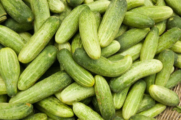 Small cucumbers at a Cambodian Market
