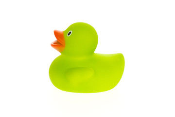 Green duck isolated
