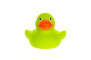 Green duck isolated