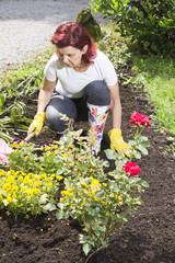 Lady doing some gardening