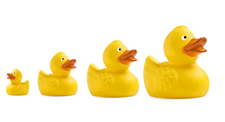 Yellow toy duckling on white background