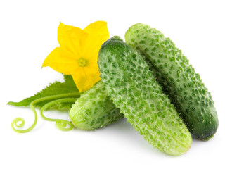 Cucumber isolated over white background