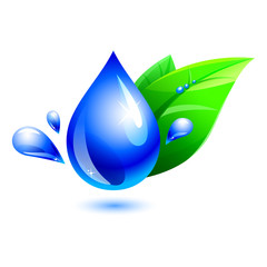 water drop and leaf