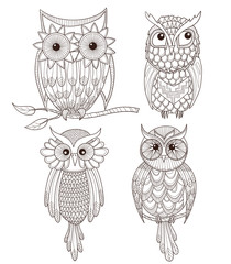 Obraz premium Set of cute owls.