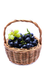 basket with grapes
