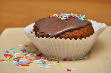 Chocolate Muffins