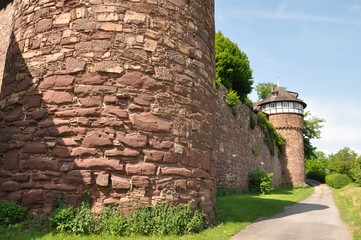 trendelburg