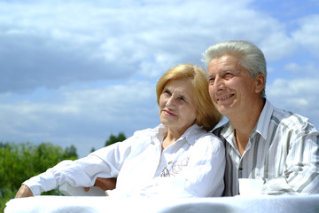 Good Caucasian elderly couple