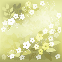 Green background with  white flowers
