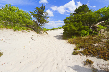 Sand dunes