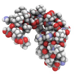 dermcidin-1L molecule