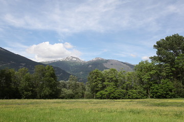 Obraz premium Promenade dans la nature.