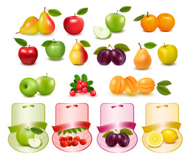Group with different sorts of fruit and labels. Vector. - obrazy, fototapety, plakaty