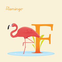 Animal alphabet with flamingo,  vector illustration