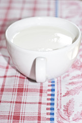 Cup of milk on the table