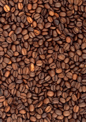 Background of coffee bean.
