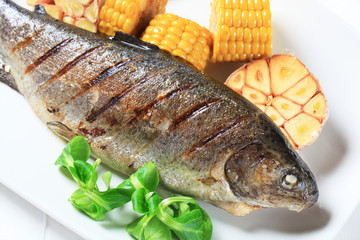 Grilled trout