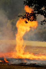 Grass Fire