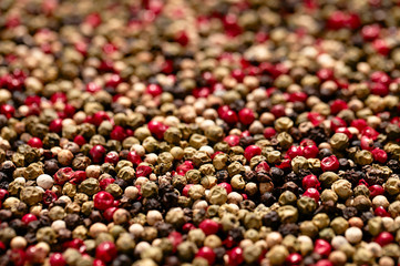 Red, black, green and white peppercorns, shallow dof