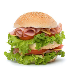 Junk food hamburger