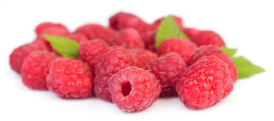 Raspberry fruit closeup
