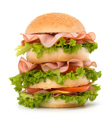 Junk food hamburger