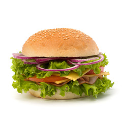 Junk food hamburger