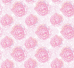 seamless pattern with white and pink rose, background