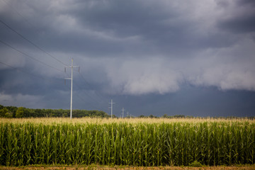 Coming Storm over Corn Fields