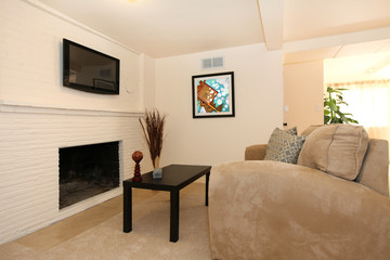 Simple living room with TV and fireplace.
