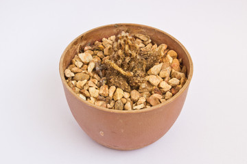 Dried cactus in Plastic pots white background.