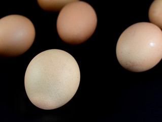 eggs  black background