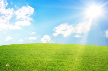 Fototapeta na wymiar Green field and sky blue with white cloud