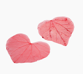 Heart-shaped transparent leaves