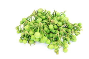 Pea Eggplants on white background