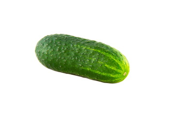 ripe cucumber isolated on white background