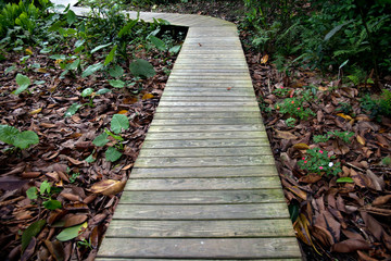 Wet wood plank road in the forest