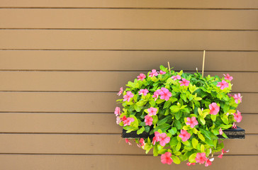Hanging flower on wood wall