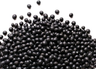 black soybean