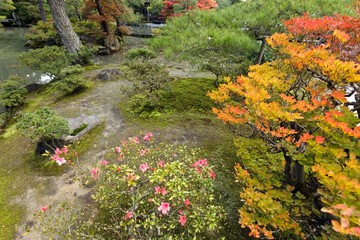 japanese rock garden