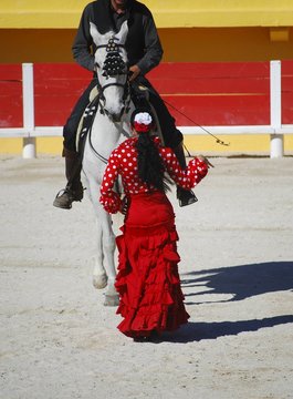 Dressage & flamenco