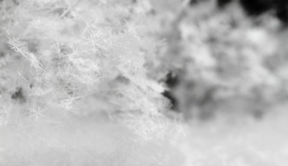 Snowflake in white snow