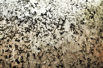 dirty window