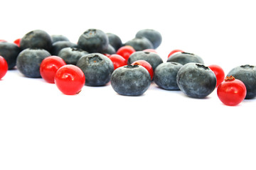 Berries