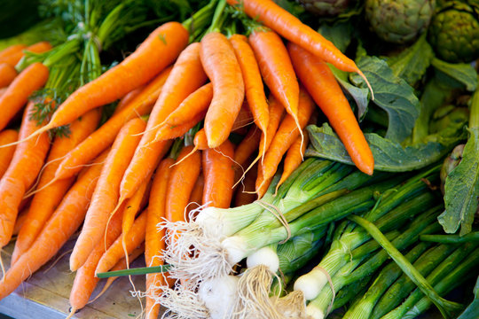Frische Karotten und Frühlungszwiebeln