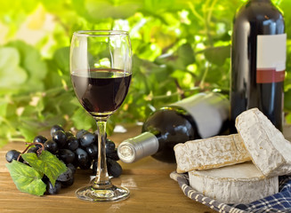 Red wine, Brie, Camembert and grape on the table, outdoor
